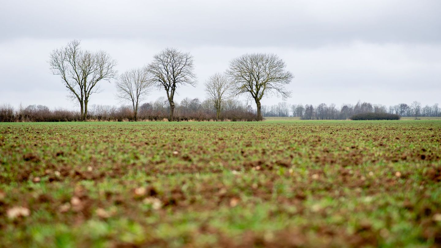 Vorhersage: Graues Wetter und unter 10 Grad in Hessen erwartet