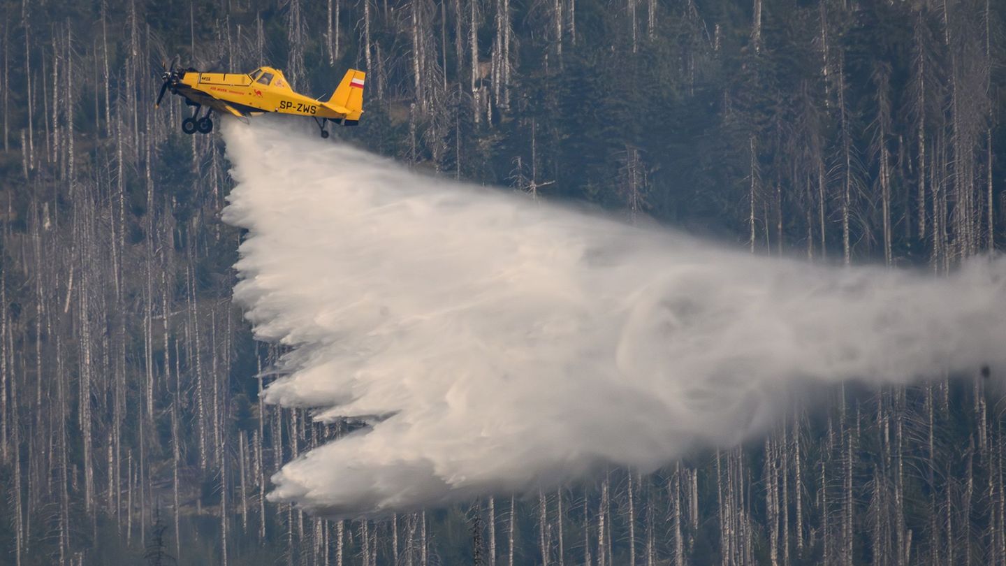 Waldbrände: Landkreis Harz: Vertrag für Löschflugzeug bis 2028