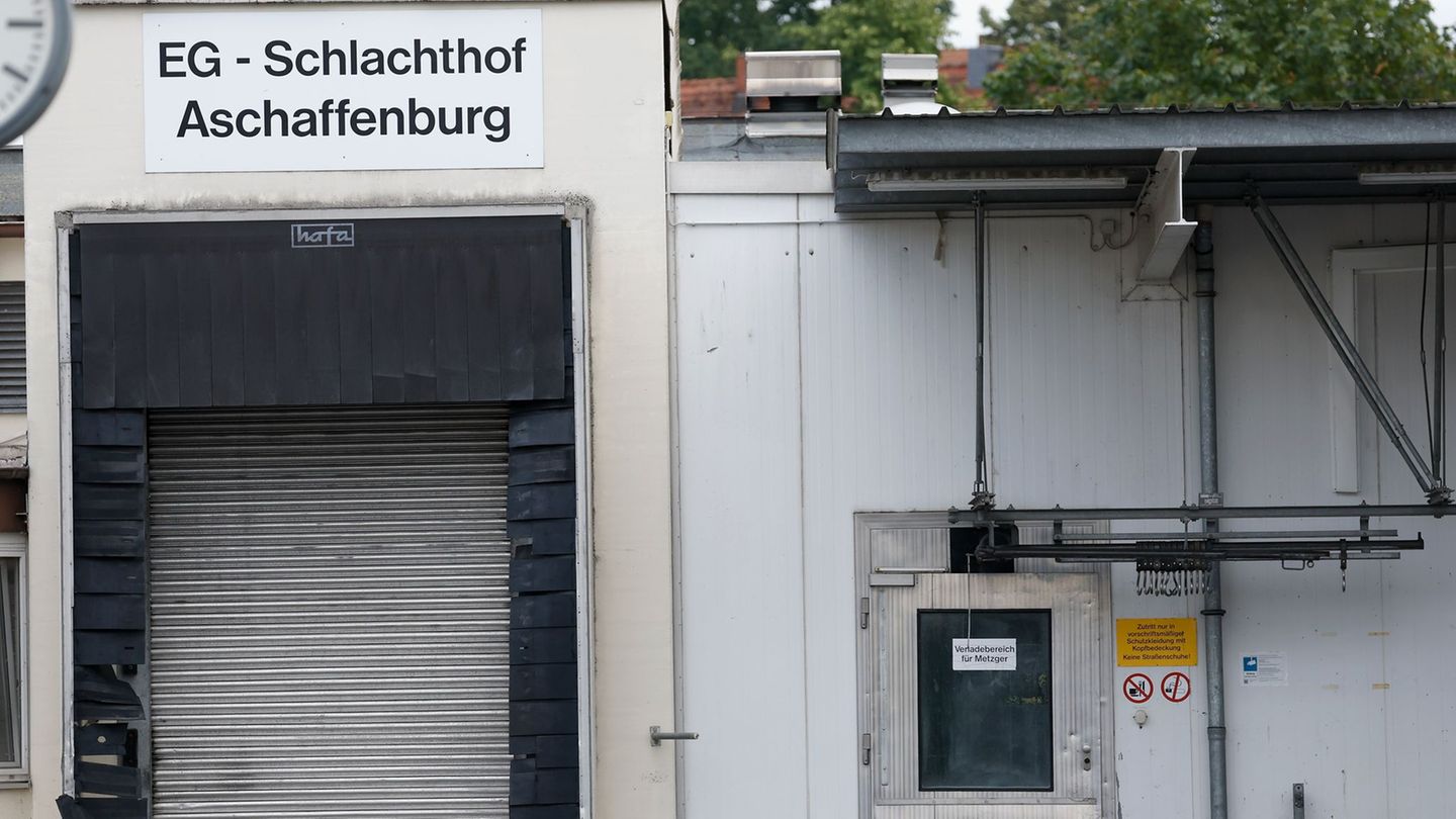 Rechtsstreit: Insolvenzverfahren für Schlachthof Aschaffenburg angeordnet