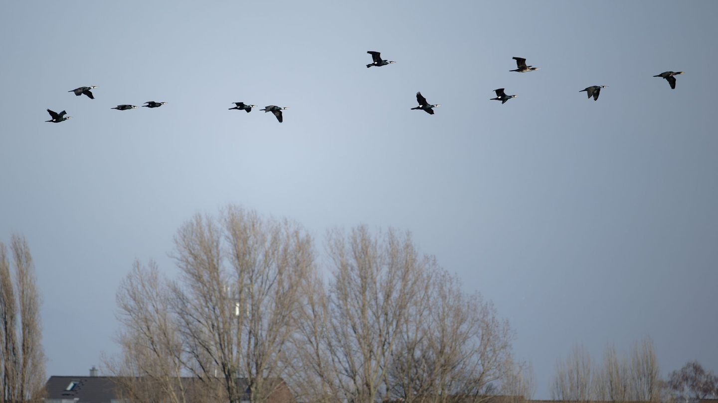 Wetter zum Ende der Woche: Wolken und niedrige Temperaturen in Nordrhein-Westfalen