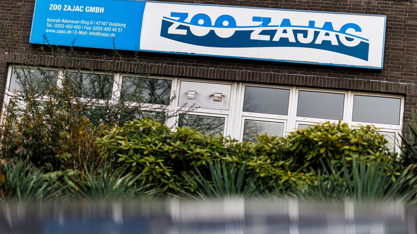 Einzelhandel: Ende eines Weltrekords – Zoo Zajac schließt nach Insolvenz