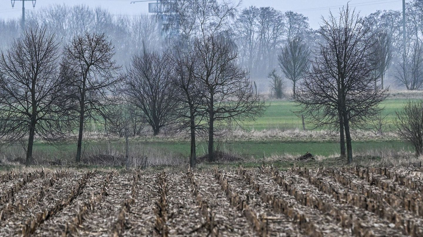 Wetter: Grau und regnerisch in Berlin und Brandenburg