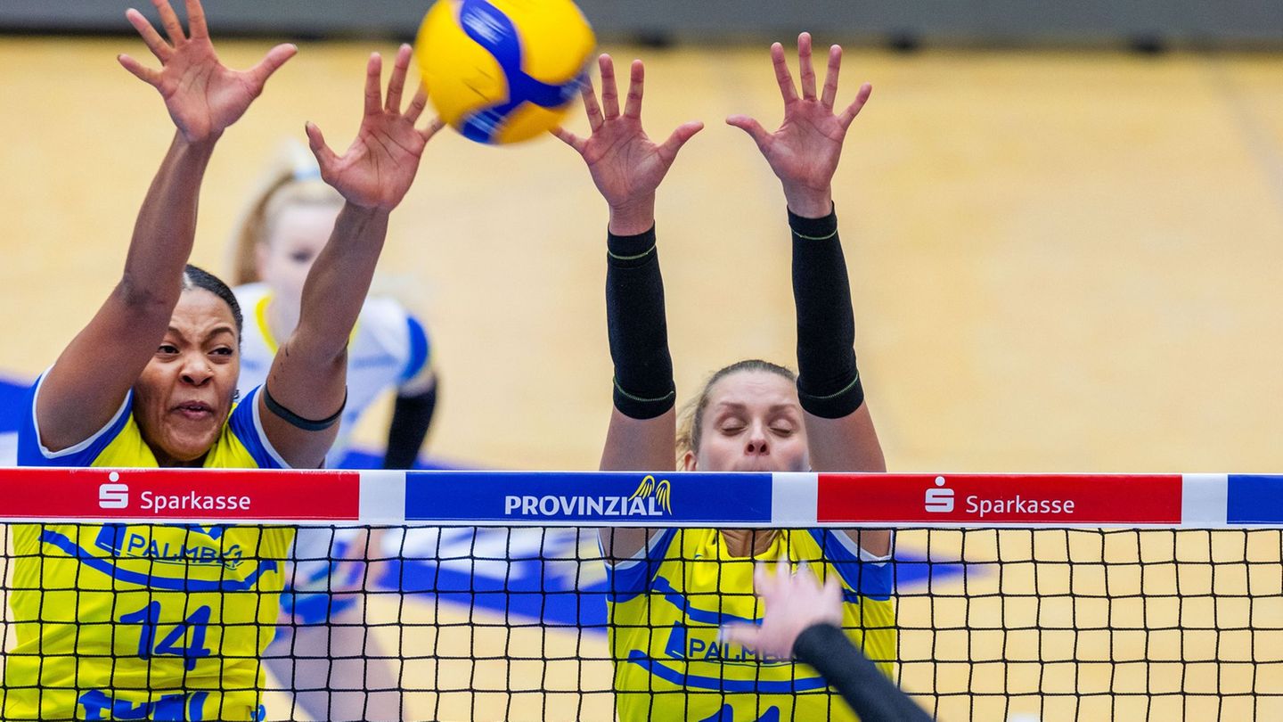 Volleyball-Bundesliga: Schwerin verlängert Vertrag mit Kapitänin Hölzig