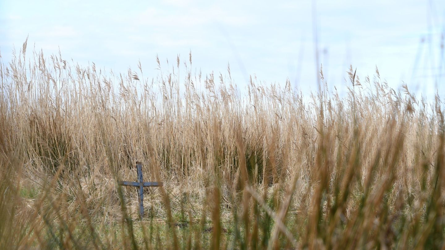 Toter auf Sylt: Nach Leichenfund auf Sylt: Behörden äußern Verdacht