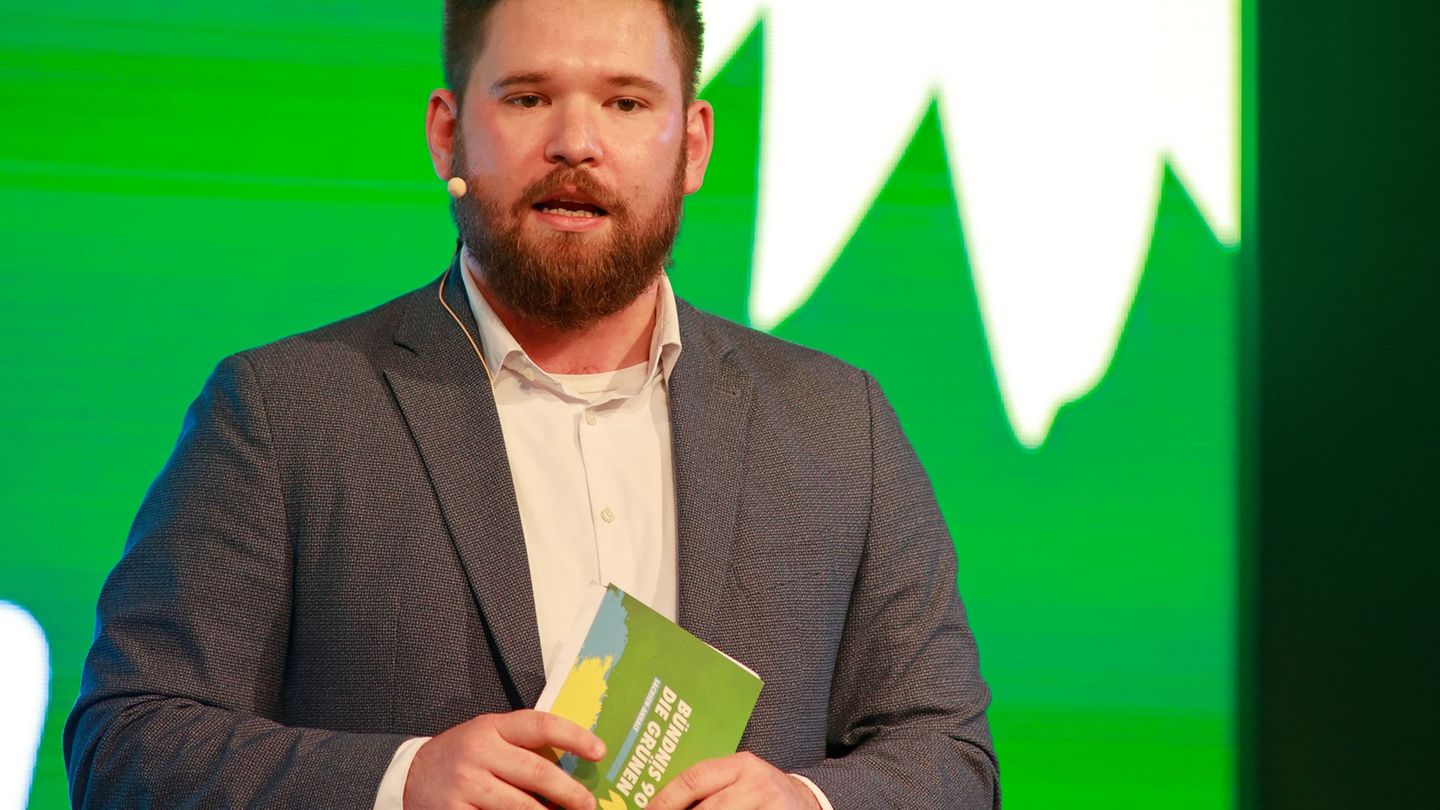 Sachsen-Anhalt: Helmich will Co-Chef der Grünen in Sachsen-Anhalt bleiben