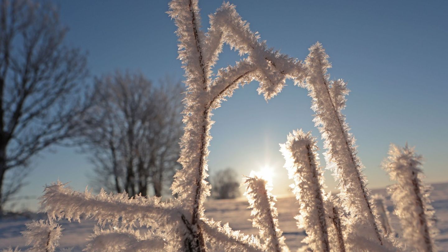 Wetter: Frost und Sonne in Sachsen-Anhalt