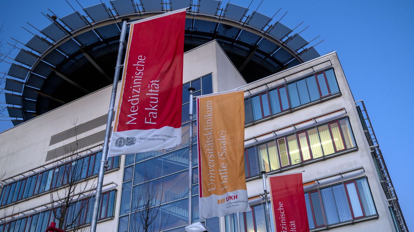 Forschung: Neues Institut für Zelltherapie entsteht in Halle