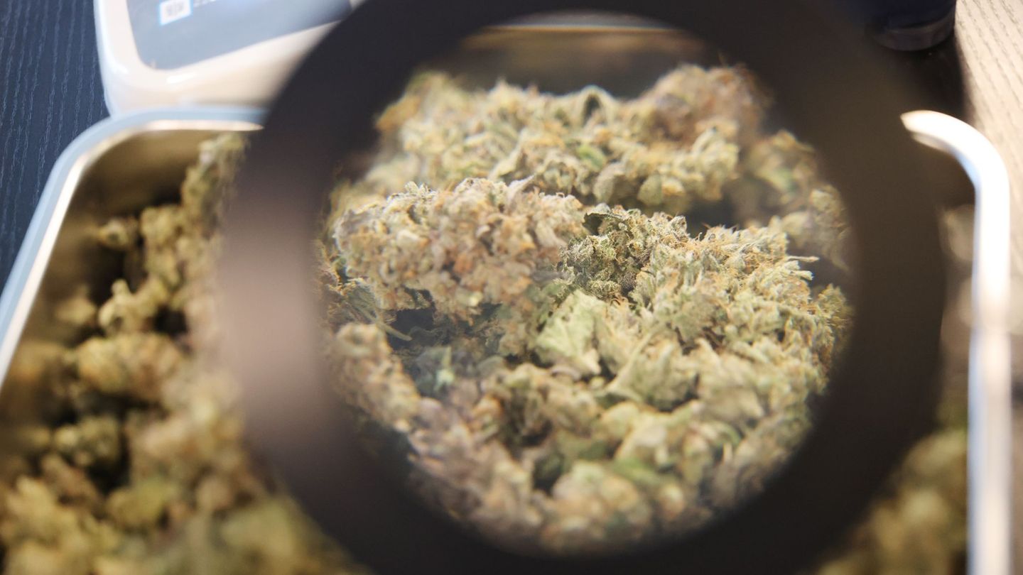 Geduldsprobe für Kiffer: Sieben Cannabis-Anbauvereine warten noch auf grünes Licht