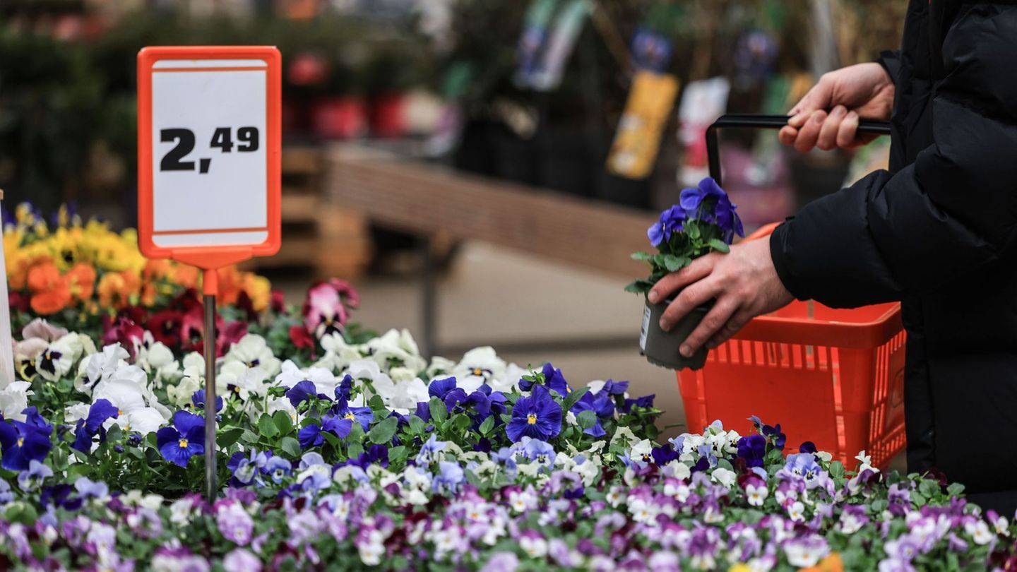 Einzelhandel: Wetter verdirbt Garten-Lust – schwieriges Jahr für Baumärkte