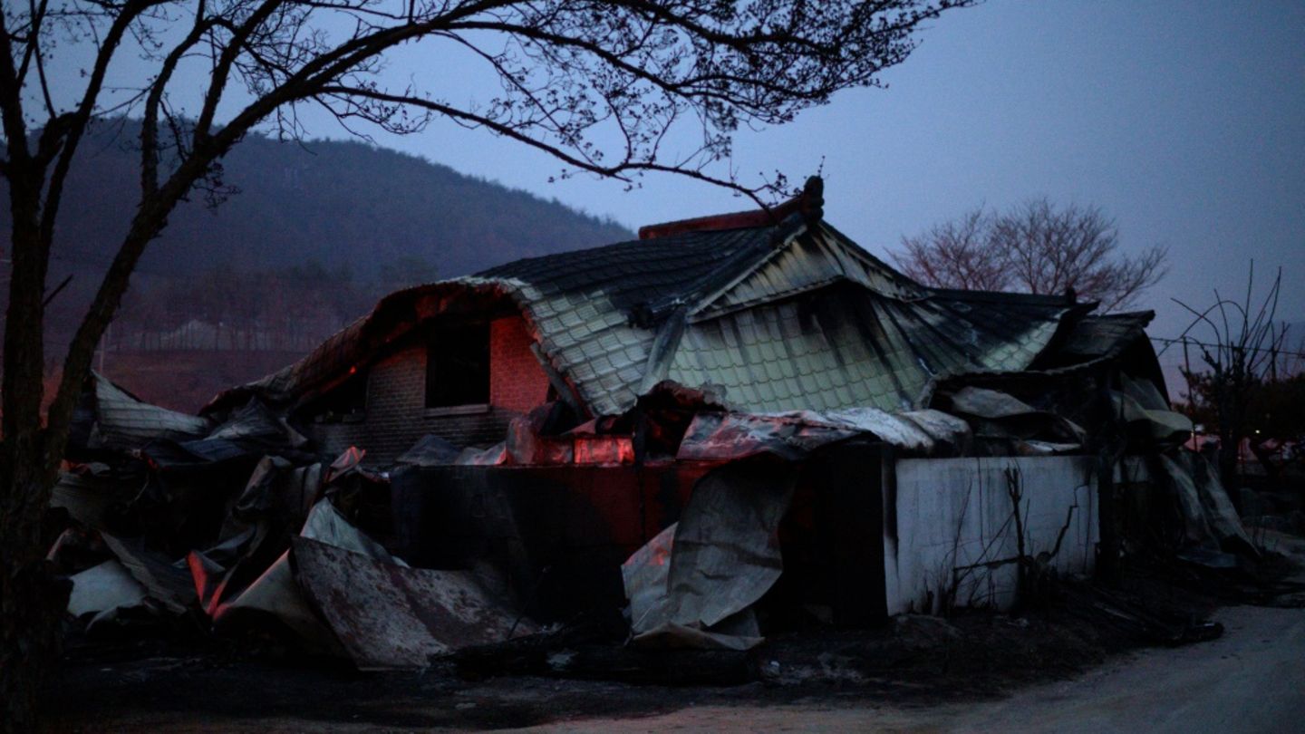 Lage in südkoreanischen Waldbrandgebieten entspannt sich dank Regen