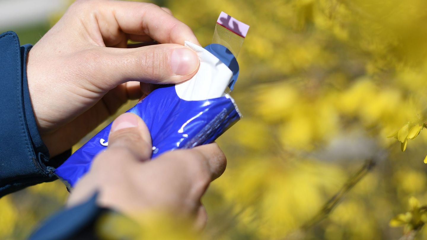 Pollenallergien: Nase voll vom Frühling – welche Pollen sind jetzt unterwegs?
