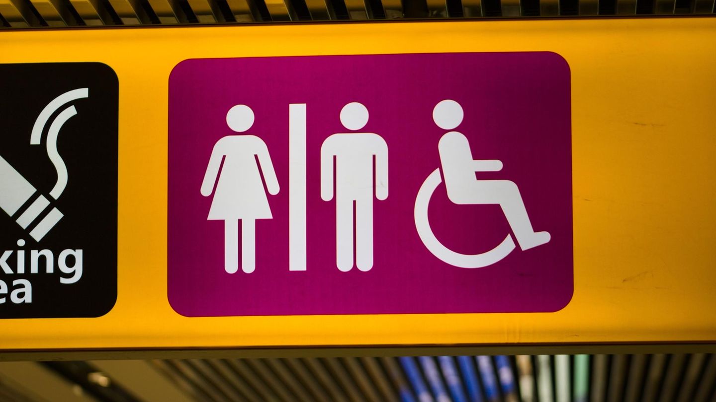 Florida: Frau ertränkt Hund auf Flughafen-Toilette, weil er nicht mit an Bord darf