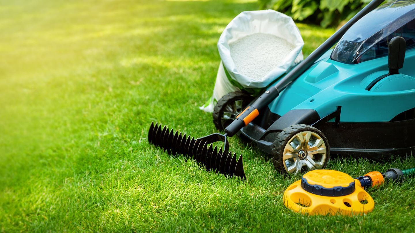 Gartenarbeit: Rasen clever pflegen: Sieben praktische Tipps fürs Frühjahr