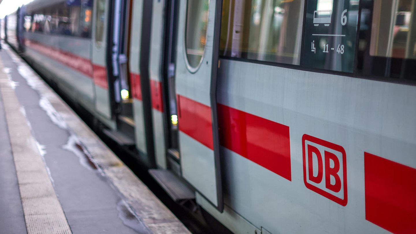 Niedersachsen: Hobbygärtner fällen Baum – und die Bahn muss eine wichtige Strecke sperren