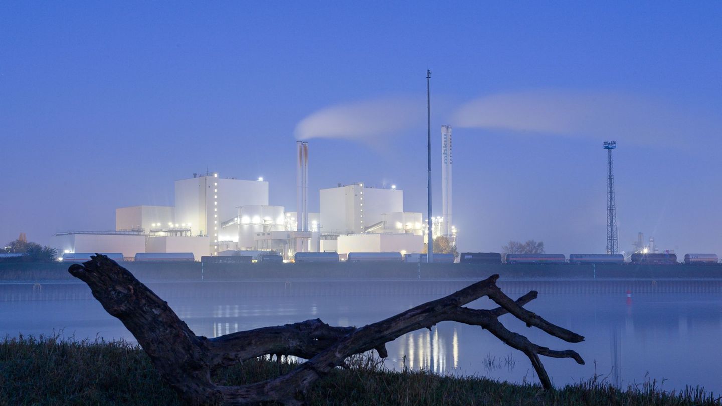 Umwelt- und Klimaschutz: Immer mehr Kommunen setzen auf Klimaschutzmanager