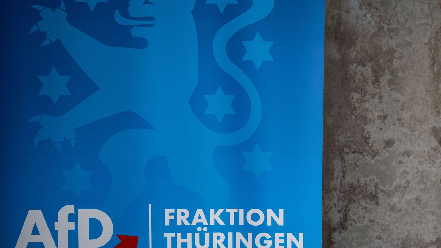 Parteien: Expertin sieht Gefahren für Justiz durch Agieren der AfD