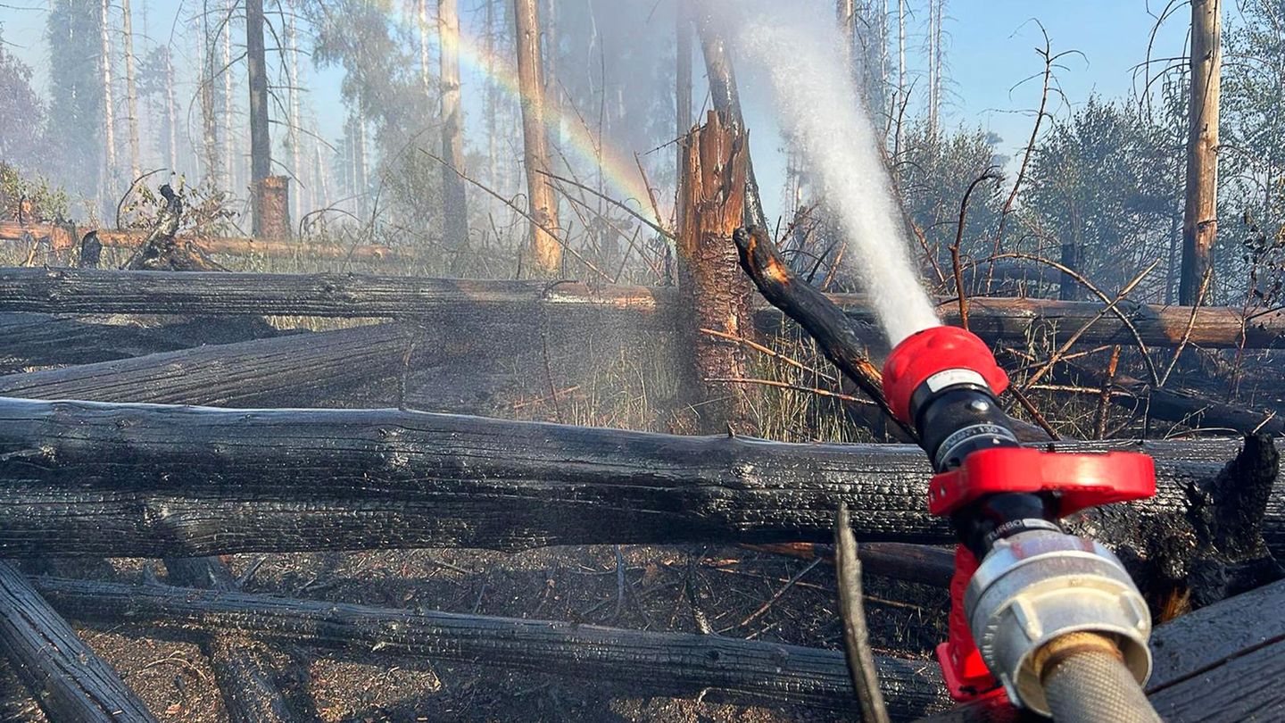 Feuerwehreinsatz: Waldbrand am Möhnesee schwelt weiter – aber kontrolliert