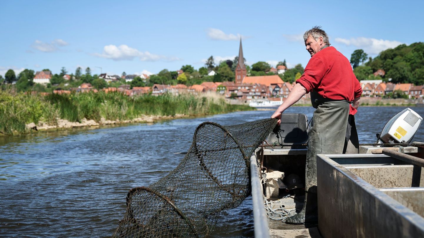 Handwerkskunst: Weniger als ein Dutzend Berufsfischer auf der Elbe im Norden