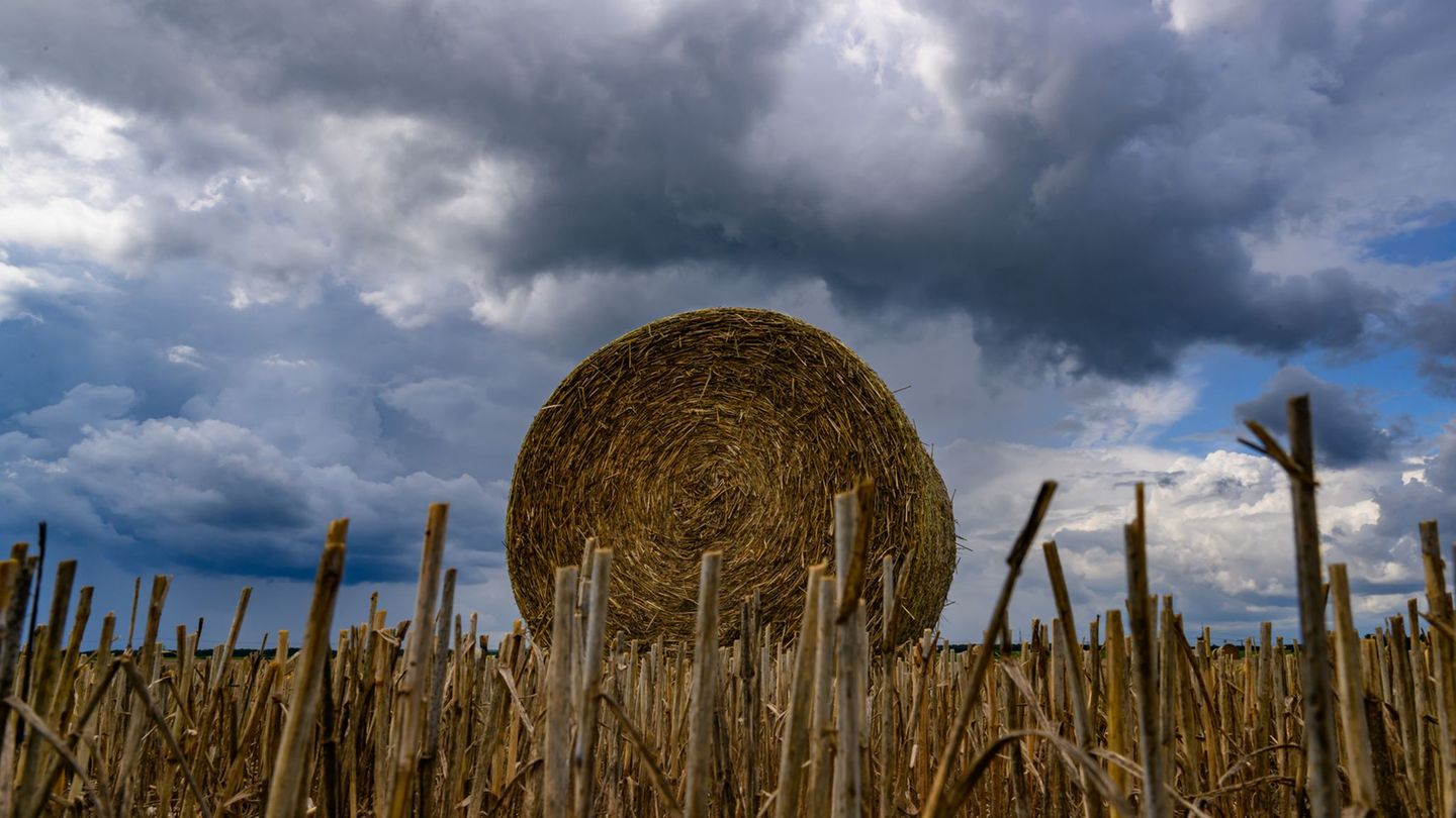 Wetter: Wolken, Regen und kein Sommerwetter in Sicht