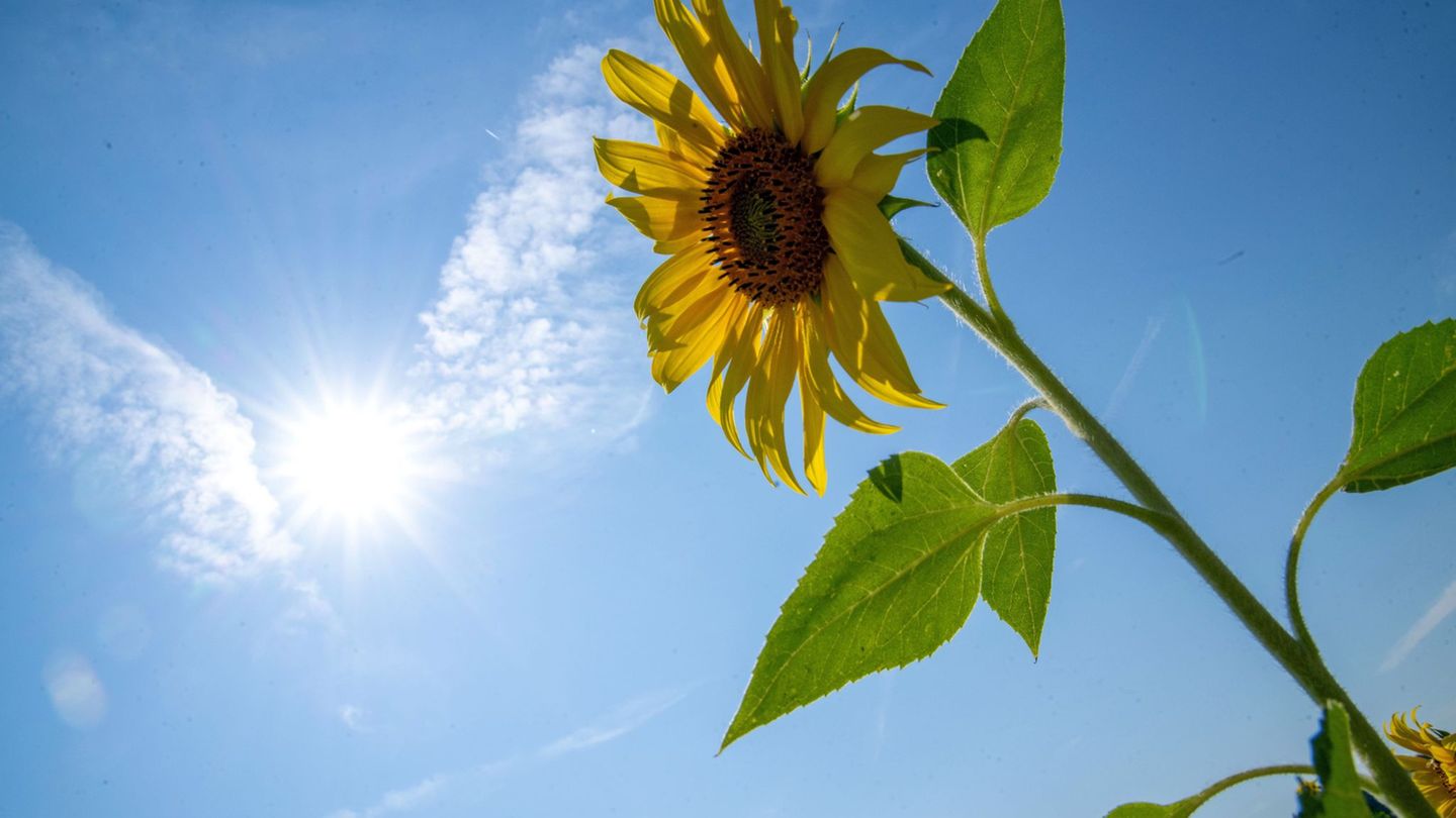 Wetteraussichten: Die Sonne ist zurück