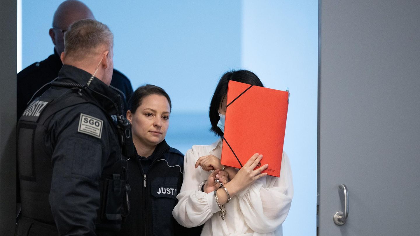 Agenten-Prozess: Frühere Geliebte des mutmaßlichen Krah-Spions will nichts gewusst haben