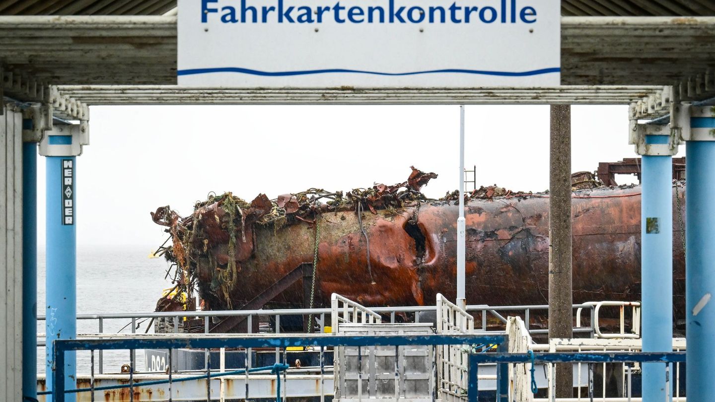 Spektakulärer Aktion: Museen mit Interesse an Exponaten von U16