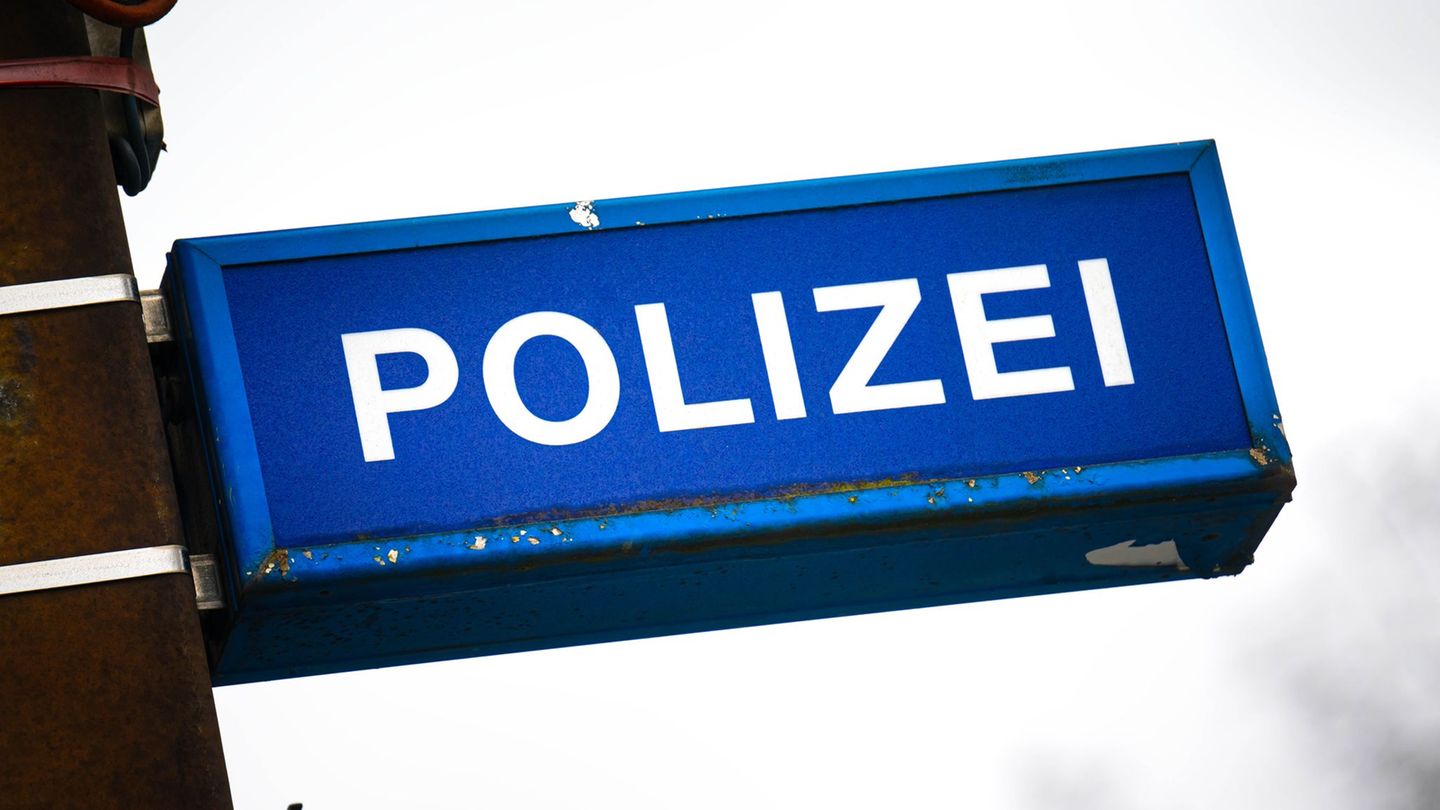 Tierquälerei: Katze mit Luftgewehr verletzt – Polizei sucht Täter