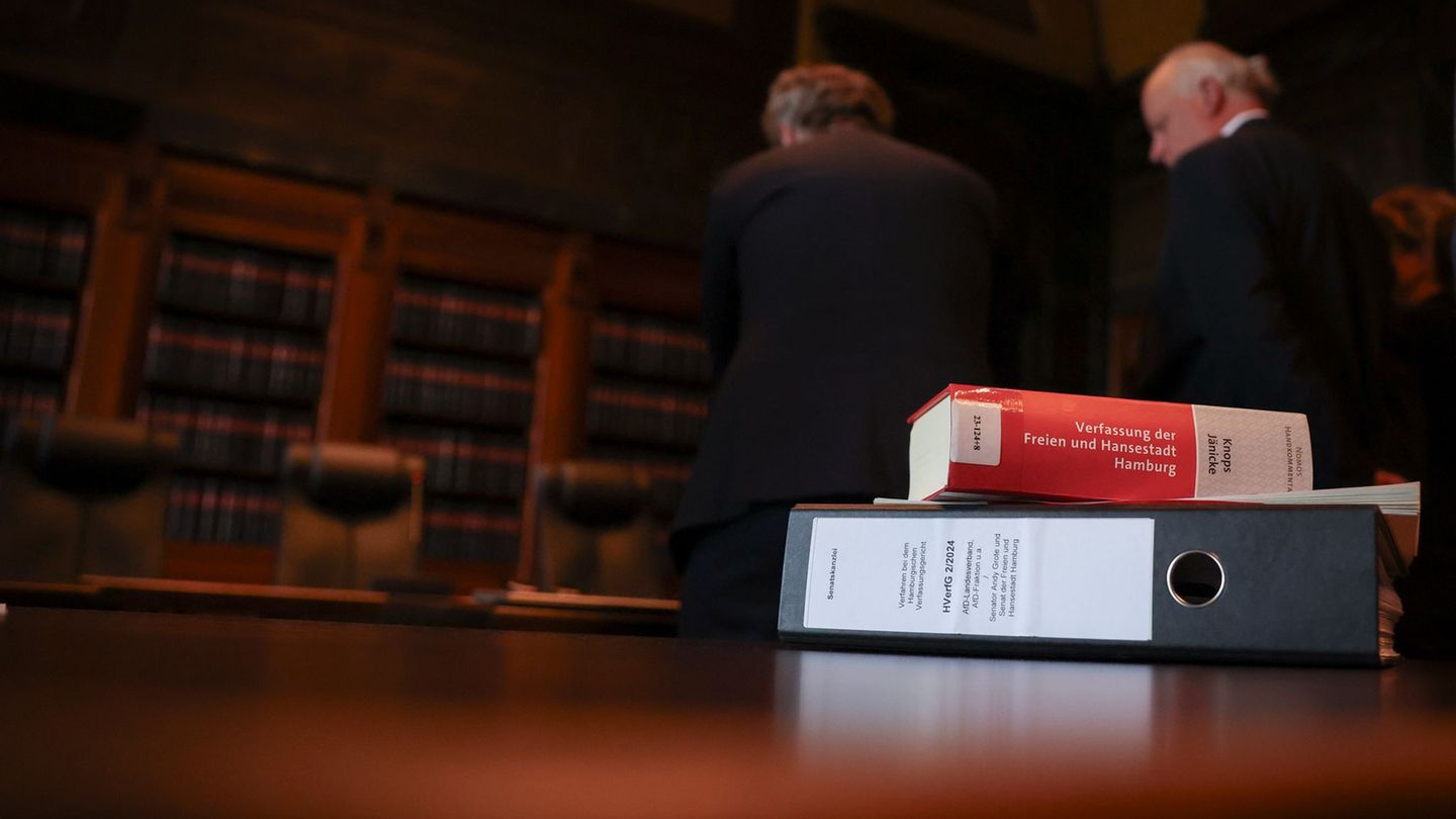 Urteil: Verfassungsgericht entscheidet im Streit AfD vs. Grote