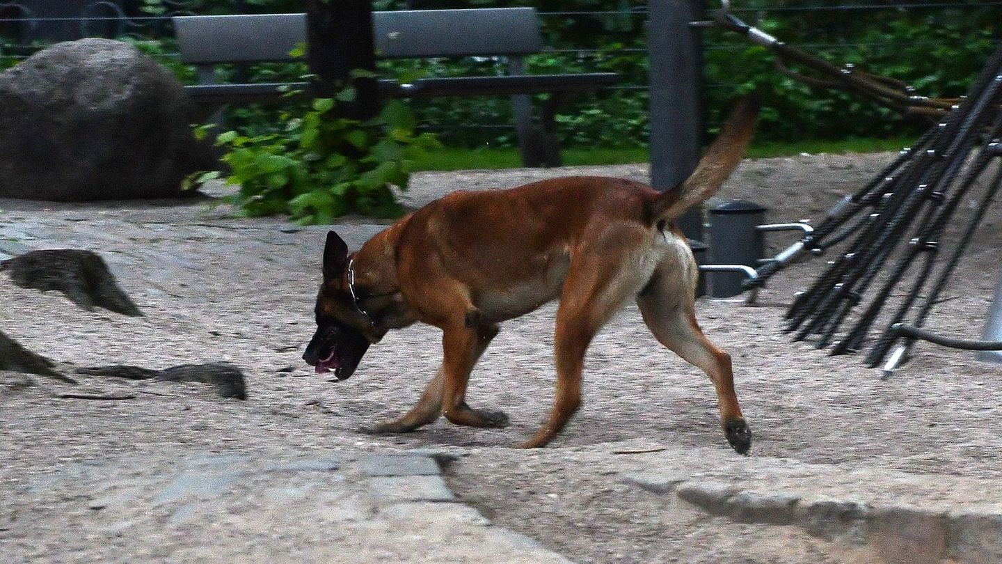 Notfall: Wolfenbüttel: Kleinkind schluckt Drogen – schwer verletzt