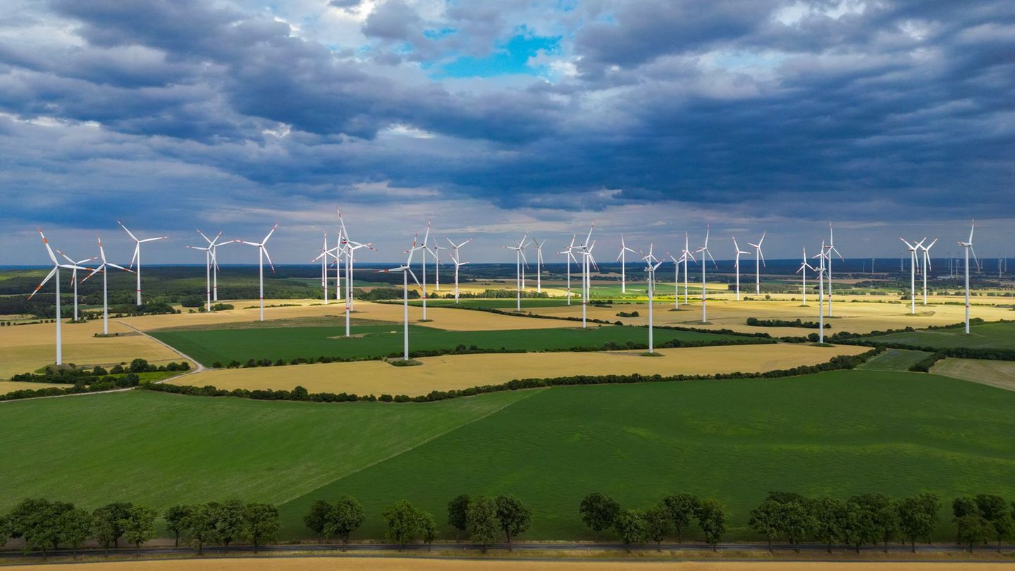 Aktuelle Studie: Umweltverband WWF sieht Brandenburg bei Energiewende vorn