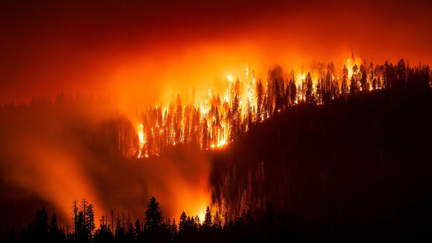 Feuer in den USA: Waldbrand bedroht Riesenmammutbäume in Kalifornien
