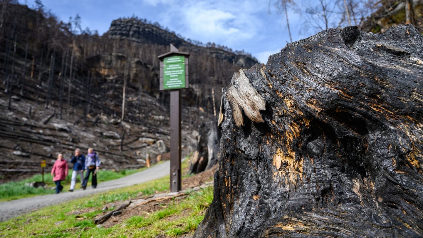 Freizeit: Wanderweg soll Böhmische und Sächsische Schweiz verbinden
