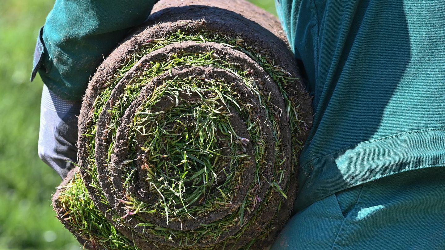 Gartenbau: Jobs in Gartenbaubranche sehr beliebt