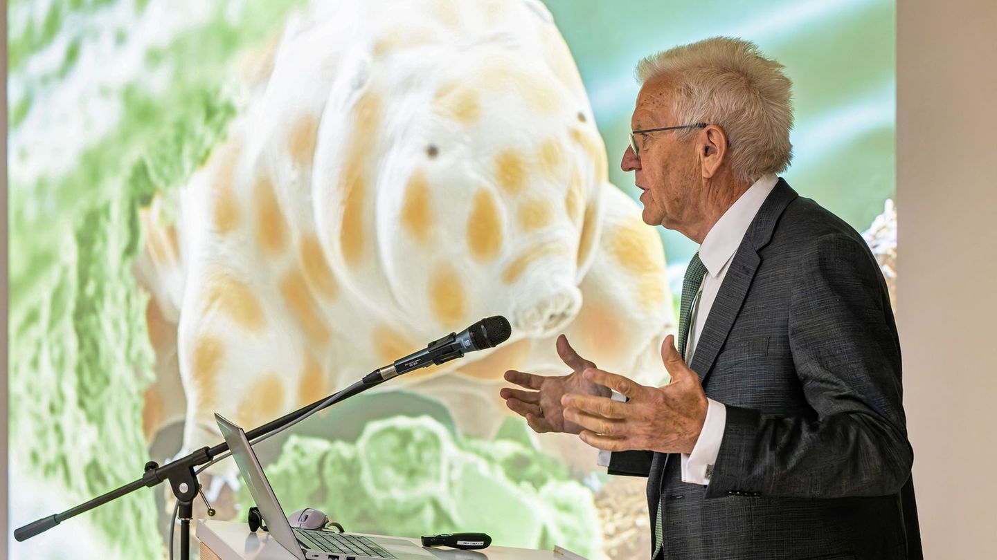Naturschutz: Tapsig und zäh: Neue Bärtierchenart nach Kretschmann benannt