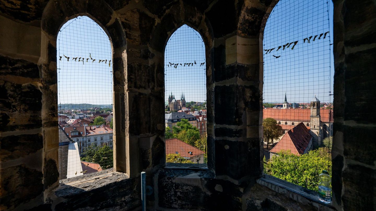 Besondere Aussichten: Türme erklimmen und über Erfurts Altstadt blicken