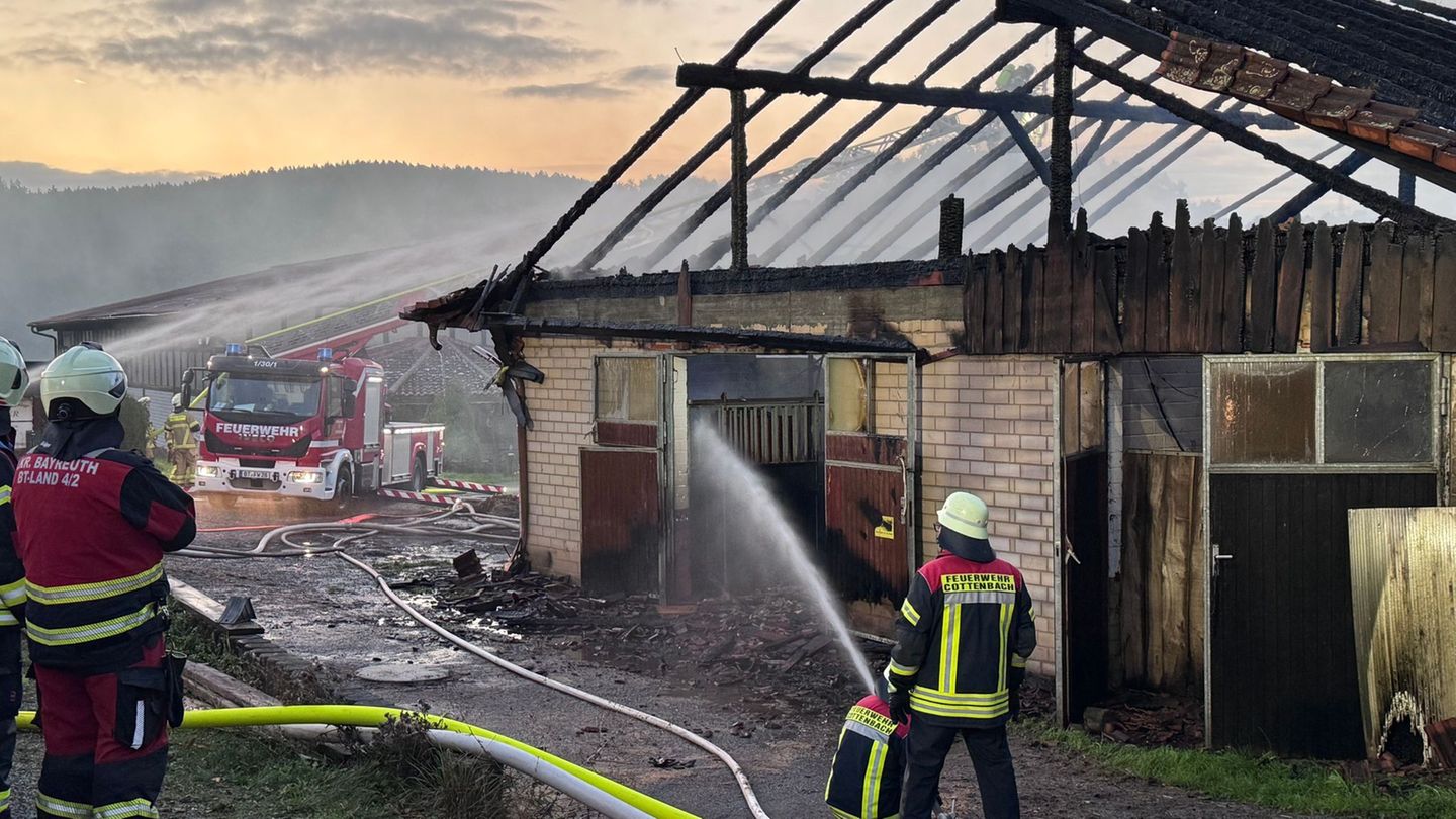 Feuerwehreinsatz: 16 Pferde sterben bei Stallbrand – Schaden in Millionenhöhe